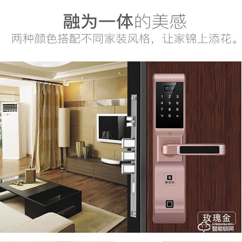 金衛(wèi)仕智能鎖 WS-I5家用防盜鎖密碼電子鎖