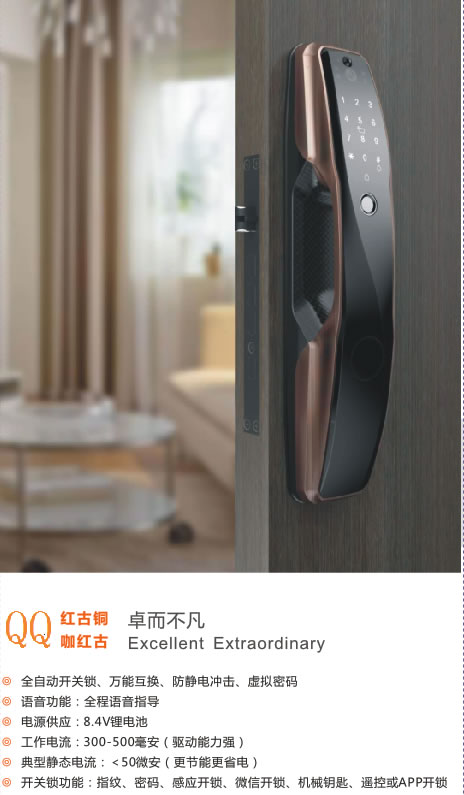 德洛克智能鎖 QQ新款全自動智能鎖