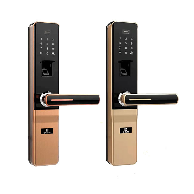金衛(wèi)仕智能鎖 WS-I9家用防盜鎖密碼電子鎖