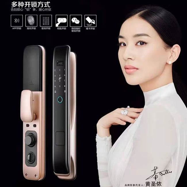 羅威納智能鎖 家用防盜門(mén)大門(mén)指紋鎖電子鎖