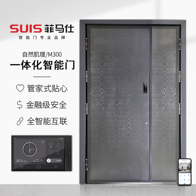 菲馬仕智能門 M300J1高端定制智能門裝甲門